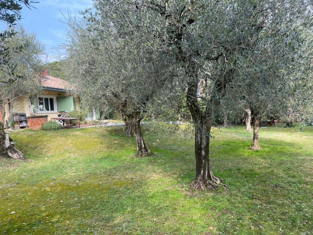 Villa Sweet Flower - With Private Pool And Garden Манерба дел Гарда Екстериор снимка